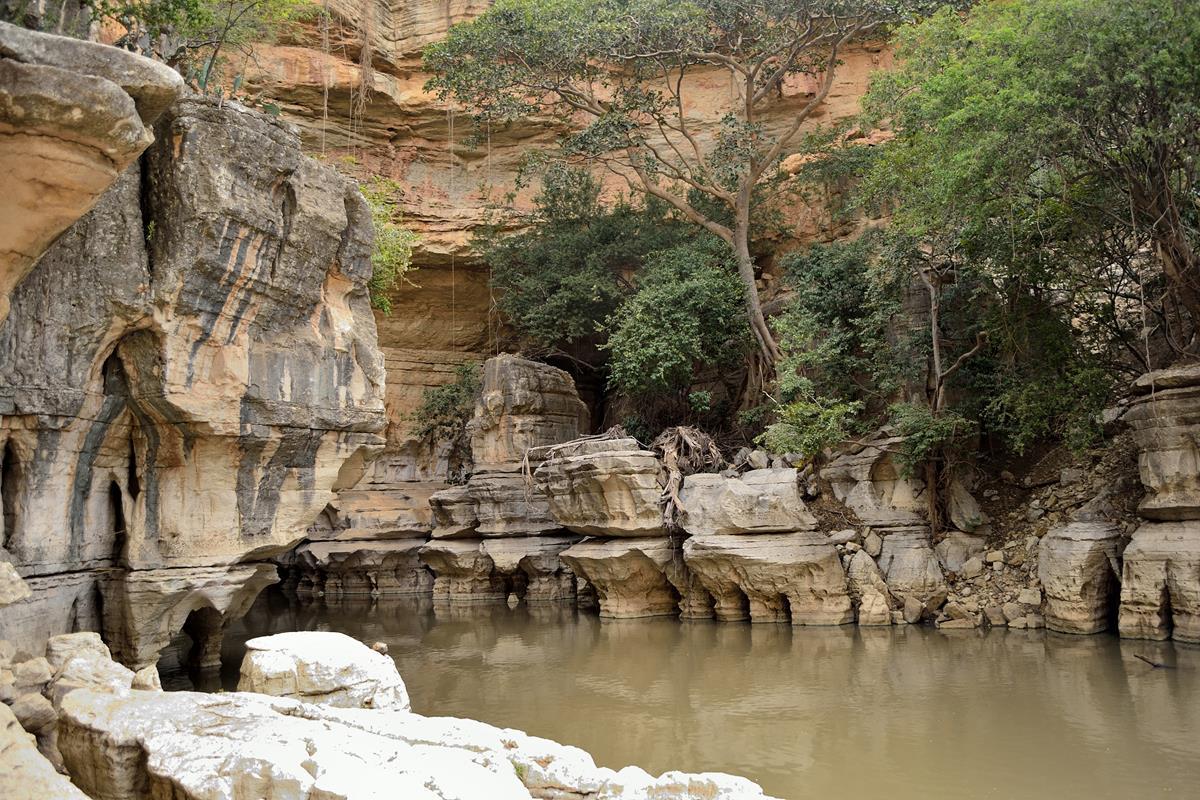 The Shenan River has been carving the rocks of the Sof Omar Caves for millennia. 