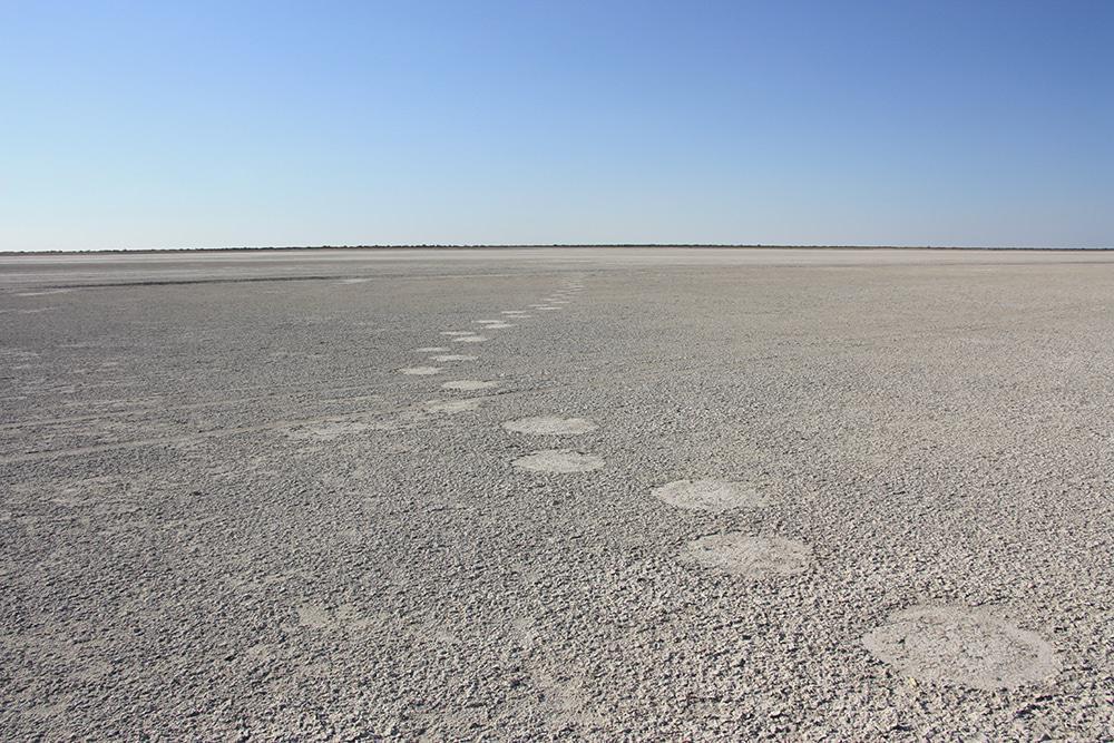 Elephant tracks on the Makgadikgadi Pans.