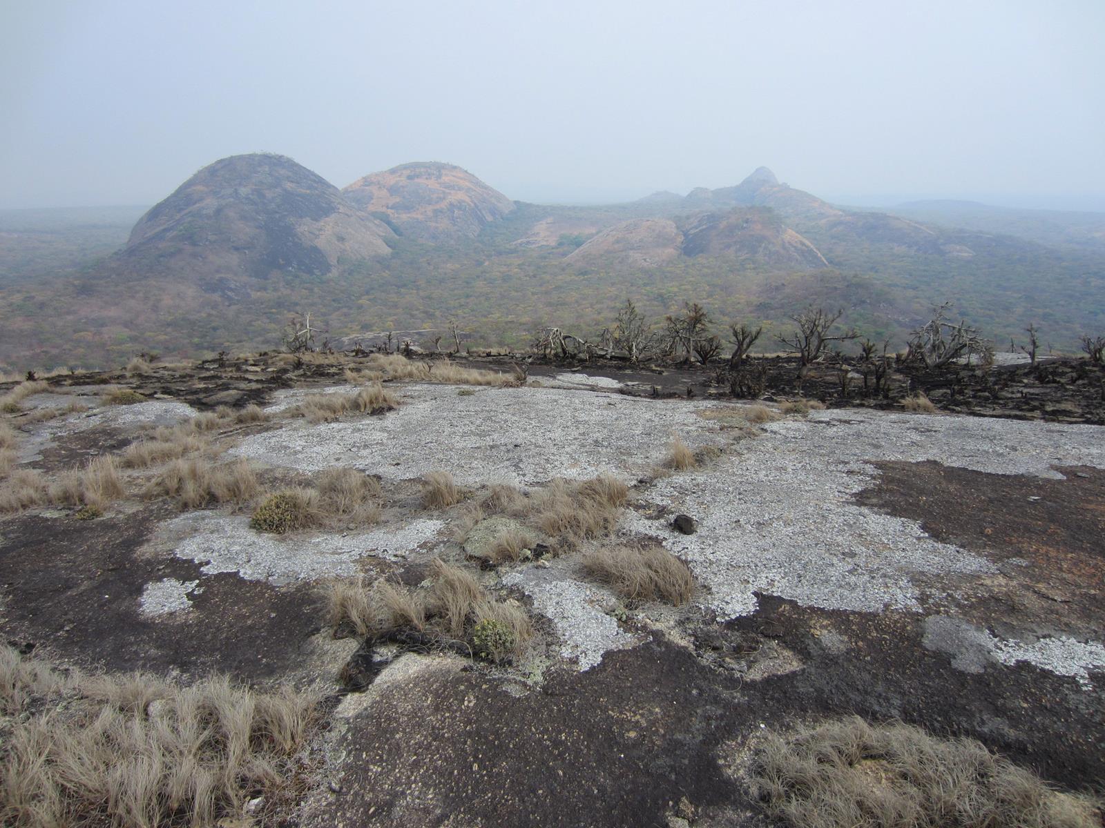 Big granite domes against colourful Miombo woodland. 