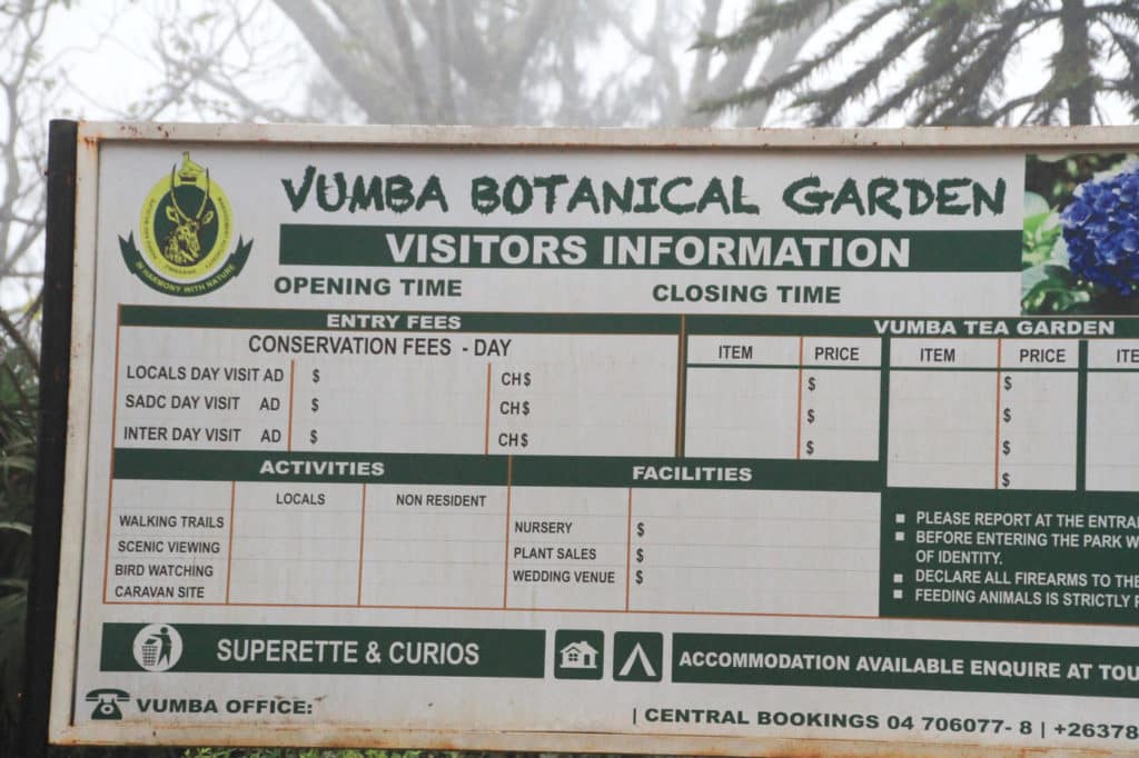 Zimbabwe - Eastern Highlands - Vumba Botanical Gardens - Romi Boom
